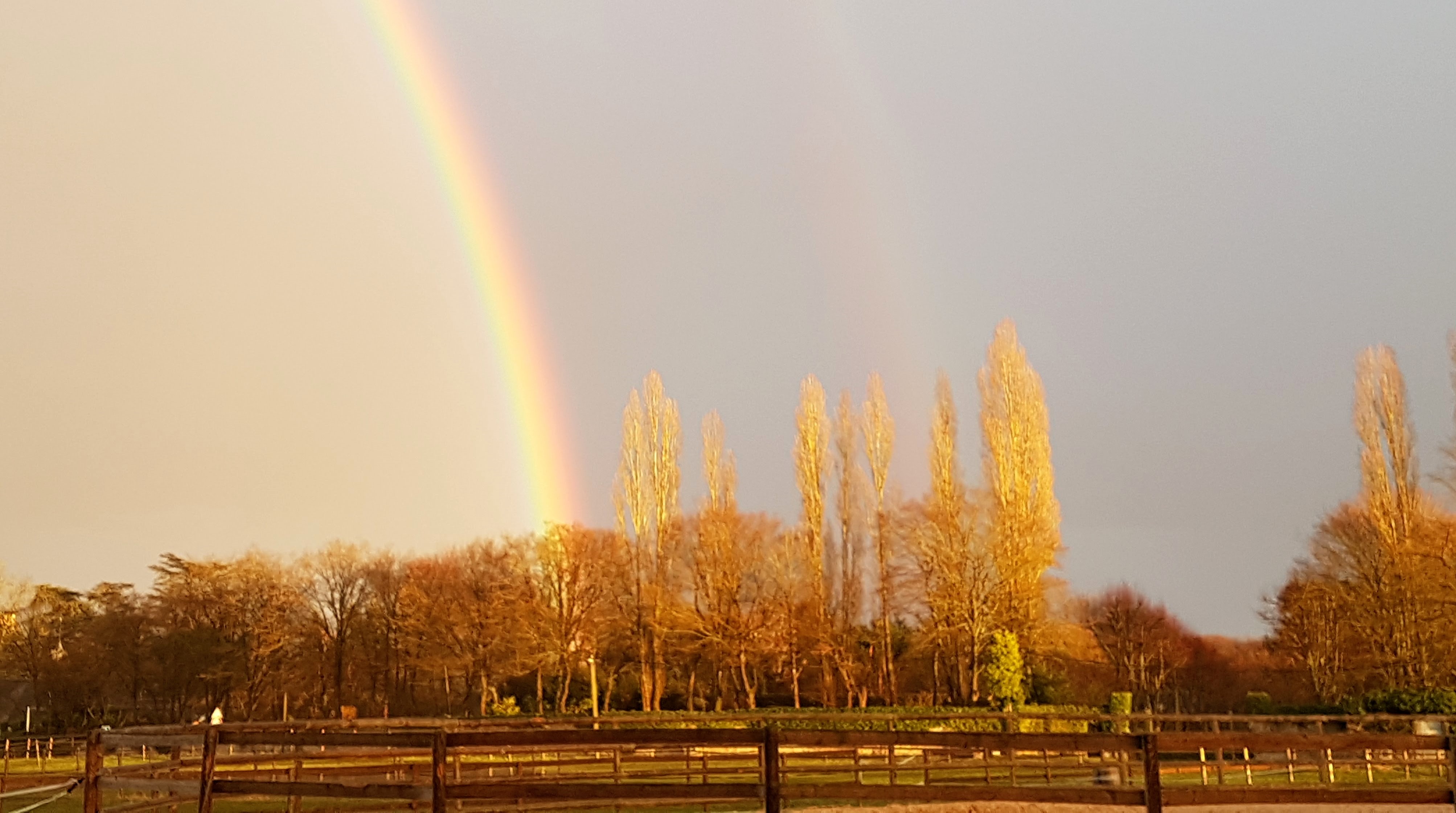arc en ciel paddocks