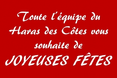 Bientôt Noël !