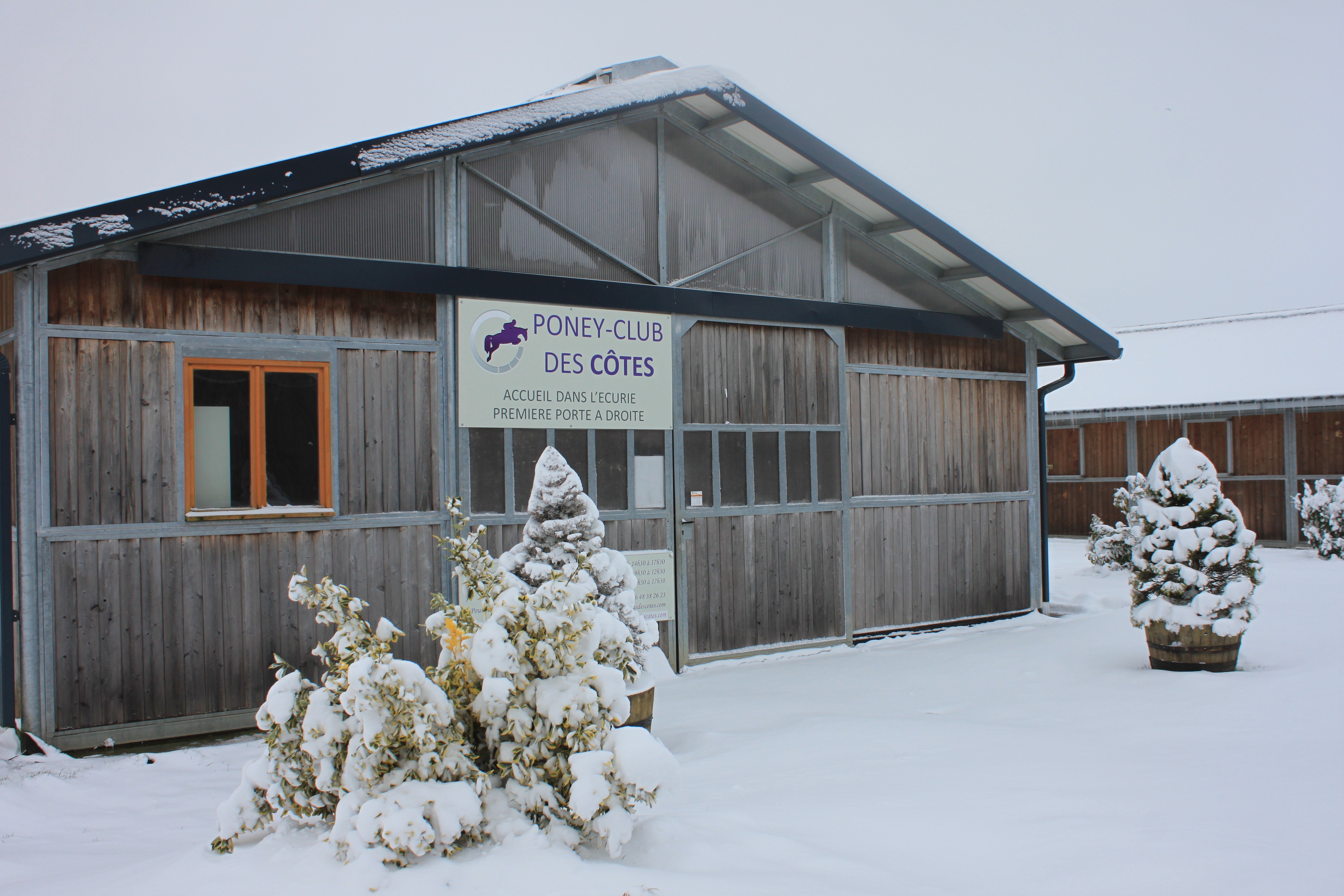 A poney pour les vacances d'hiver !