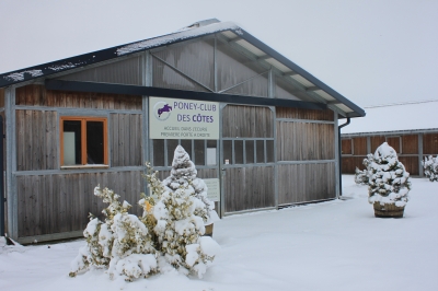 A poney pour les vacances d'hiver !