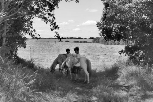 Le Printemps du poney !